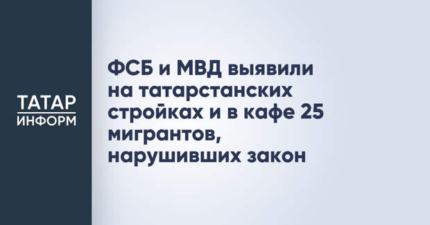 ФСБ и МВД выявили на татарстанских стройках и в кафе 25 мигрантов, нарушивших закон