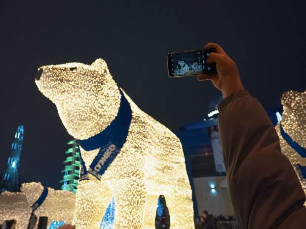 Светящиеся медведи покинут Тюмень и Тобольск