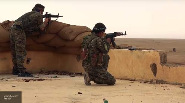 Вассерман: с курдами-террористами в Сирии, как и с киевскими радикалами, не договориться
