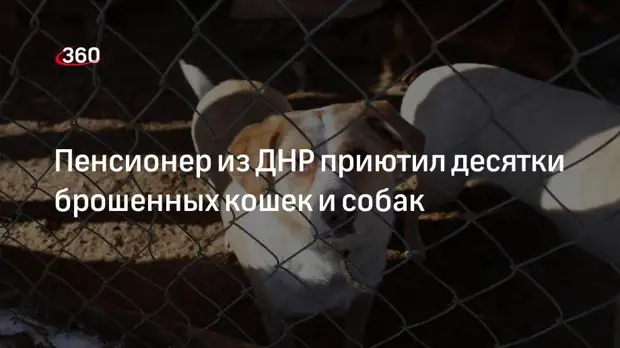 Пенсионер из Макеевки в ДНР организовал приют для оставленных хозяевами домашних животных