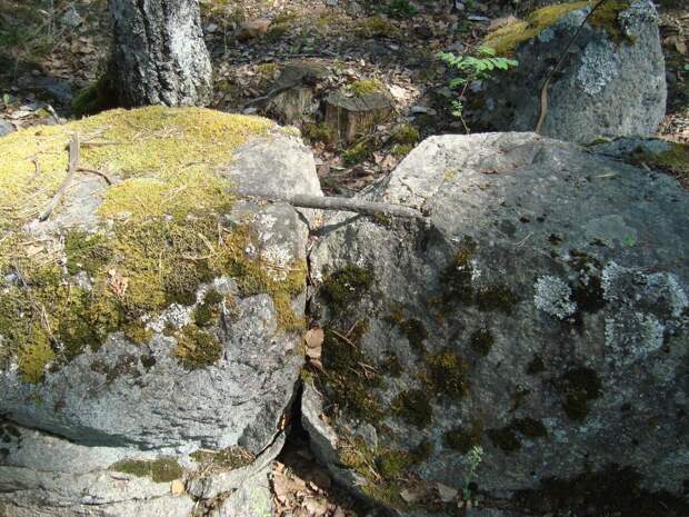 Источник: https://vk.com/wall115384929_32729