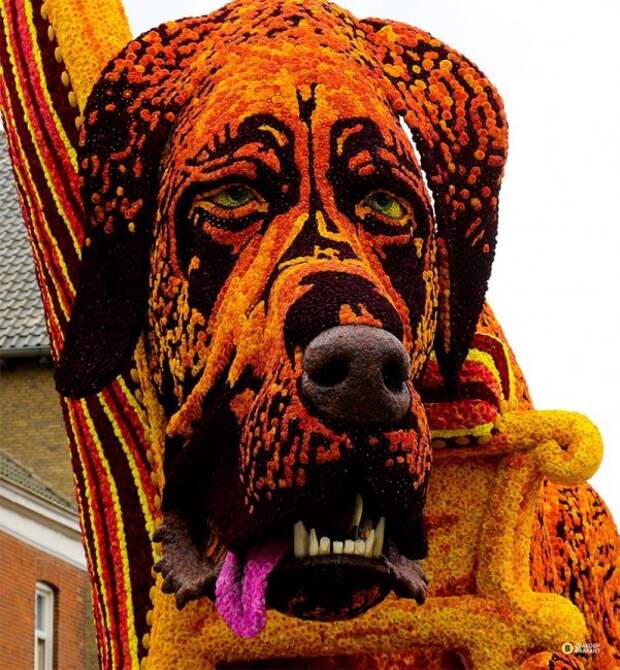 В Нидерландах прошёл Парад Цветов Corso Zundert 2013 (27 фото) В Нидерландах прошёл Парад Цветов Corso Zundert 2013 (27 фото)