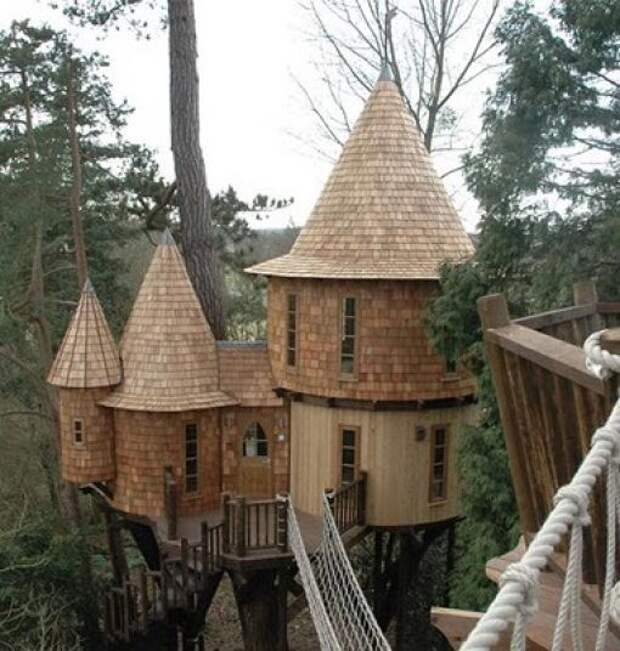 Фантистические дома на деревьях