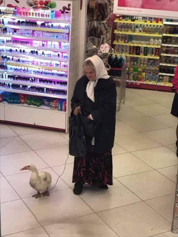 Подборка прикольных картинок