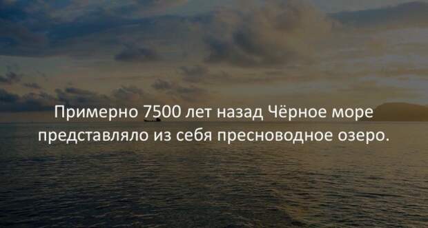 Занимательные факты Занимательные факты интересно, любопытно, факты