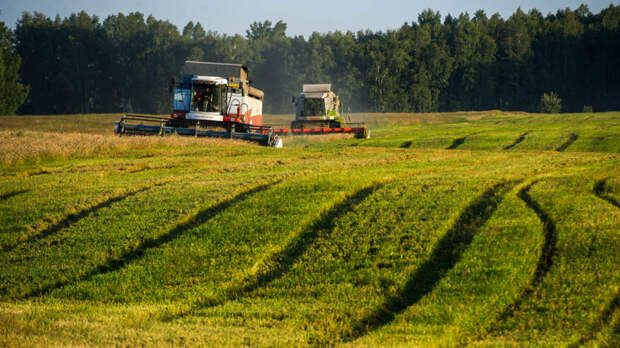 Угодья взяли под контроль: с 1 марта меняются правила перевода сельхозземель в другие категории