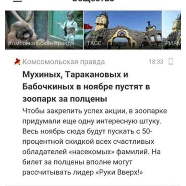 Очередная часть сериала -занимательные фамилии-