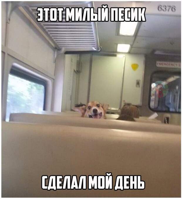 Забавные картинки с надписями со смыслом (11 фото) Забавные картинки с надписями со смыслом (11 фото)