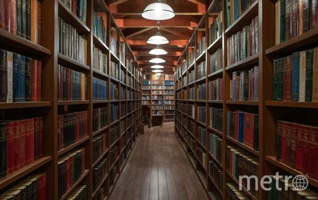 Госдума одобрила ограничение доступа к книгам иноагентов в библиотеках