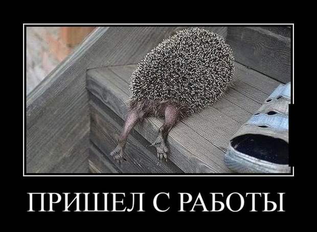 demotivatory_na_subbotu_30_foto_4.jpg