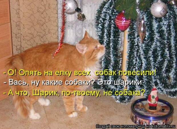 Новая отличная котоматрица (38 фото)