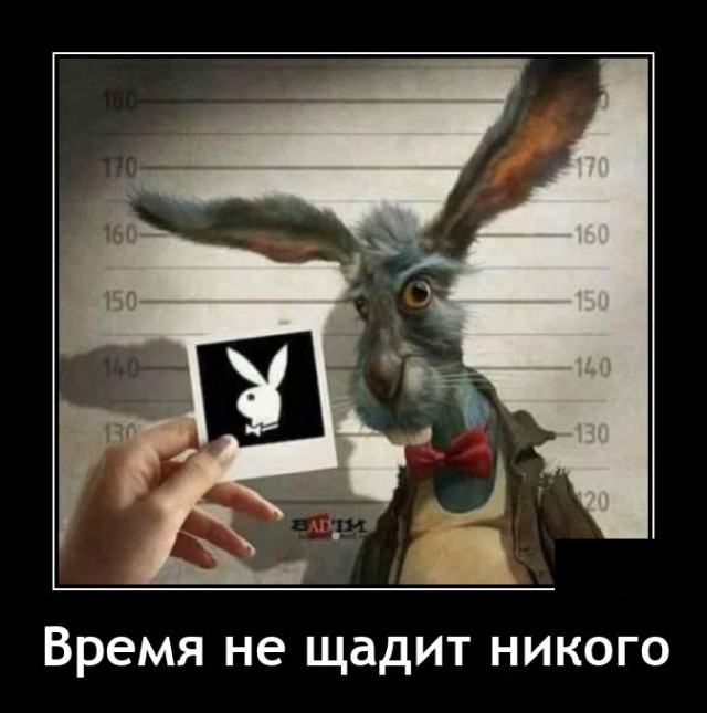 Демотиваторы 11 мая 2021