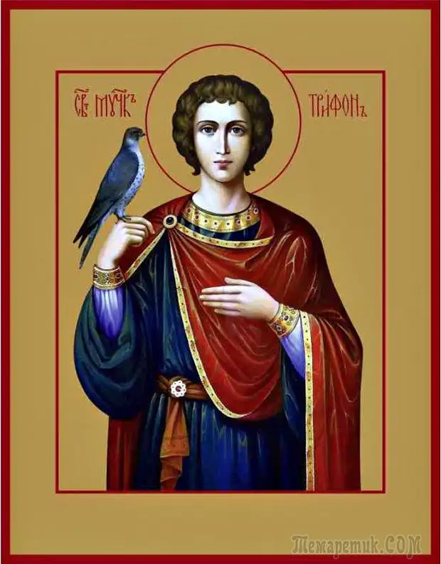 14 февраля - Память Святого мученика Трифона.