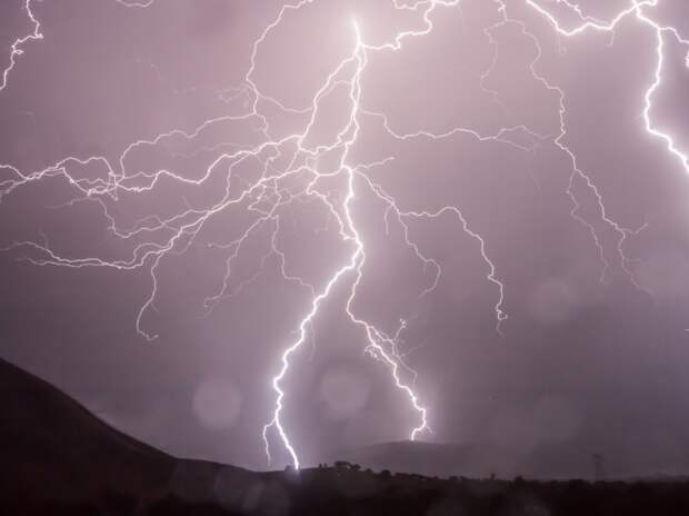 Мощный ливень в Хабаровске повалил деревья и оборвал провода