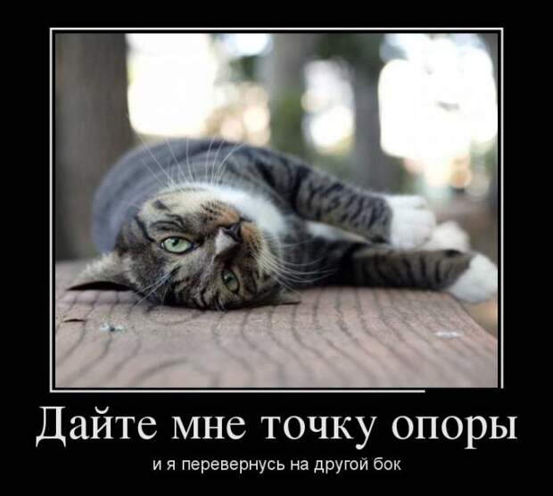 Демотиваторы (30 фото)