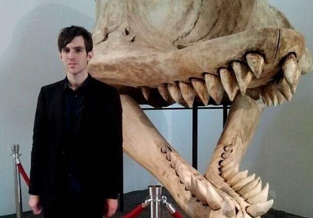 15 увлекательных изображений невероятных вещей