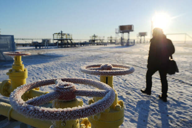 Reuters: ЕС отменит проверки газа для 6 стран на предмет российского следа