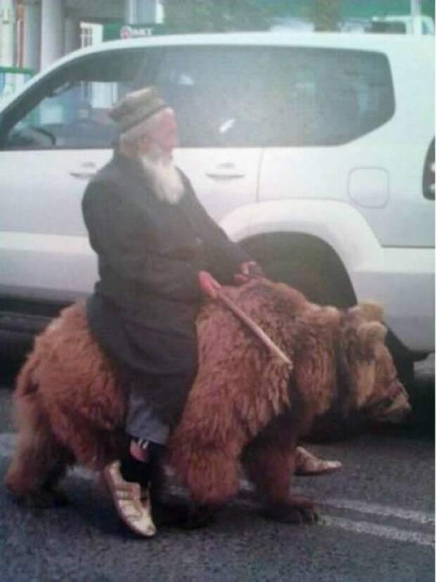 Топ-10: Странные фотографии людей верхом на животных