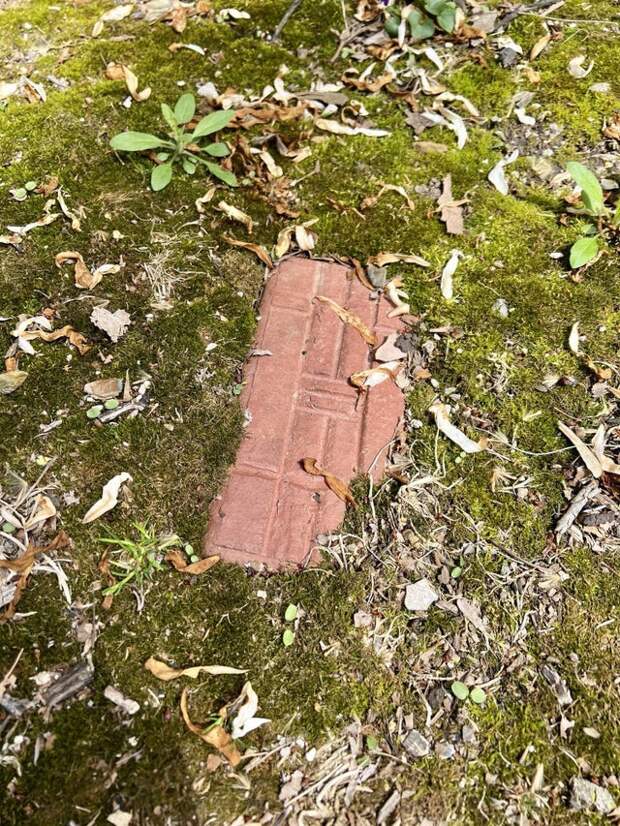Пользователи показали свои необычные находки из прошлого
