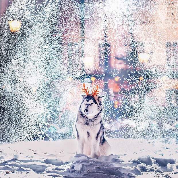 яяя123