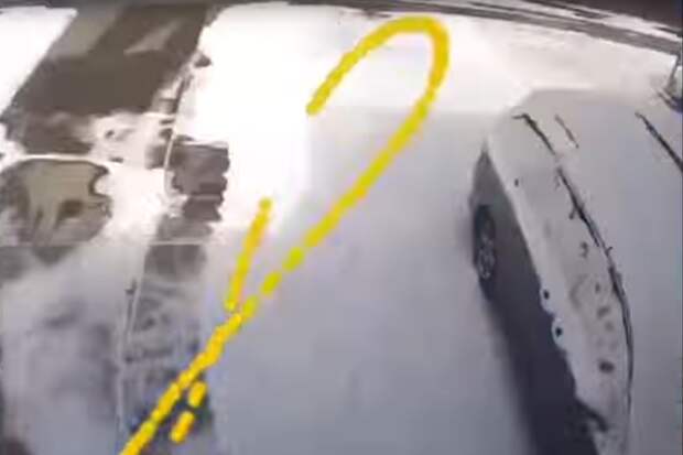 Мужчина с помощью своего гаража доказал, что Земля круглая