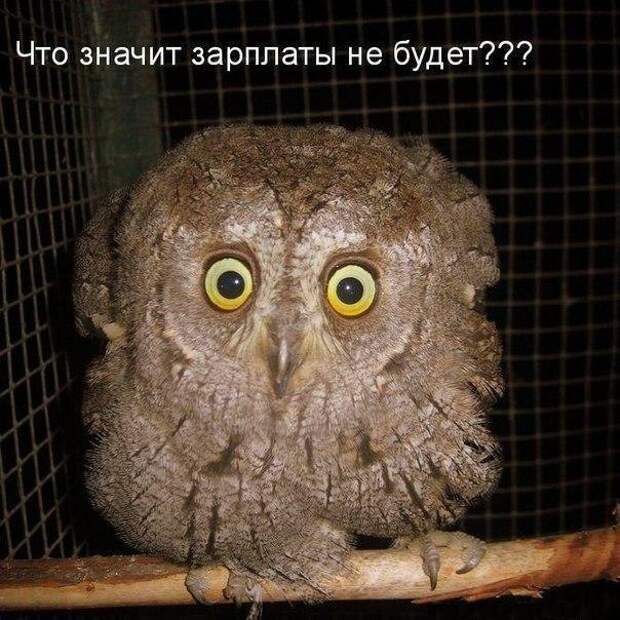Всяко - разно 12 )))