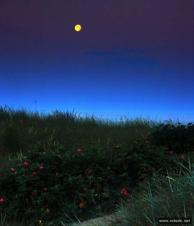 Andris_Eglitis_006 Andris_Eglitis_006