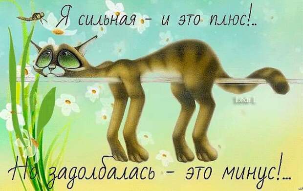 Картинки по запросу работящая женщина