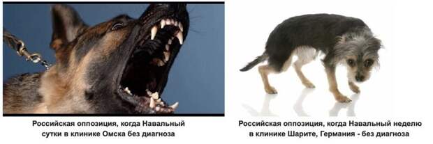 Политические комментарии 2