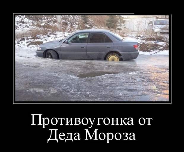 Демотиваторы (30 фото)
