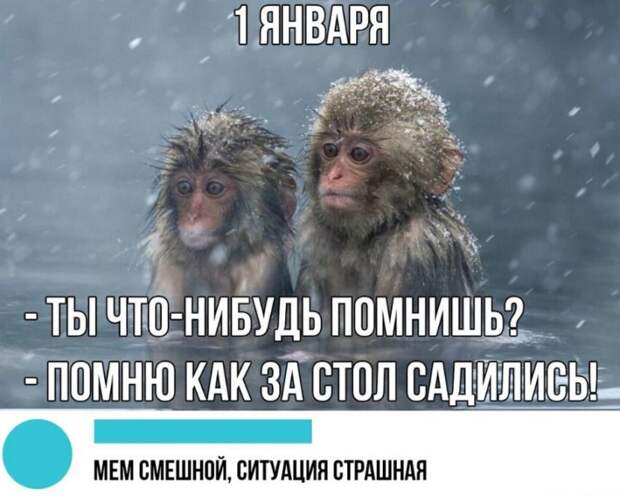 картинки прикольные смешные (14)
