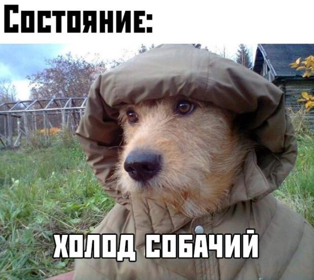 Подборка картинок. Вечерний выпуск (32 фото)