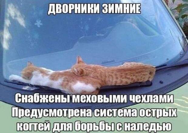 Подборка автоприколов.