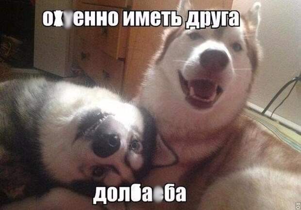 6QVW0f_m3EA