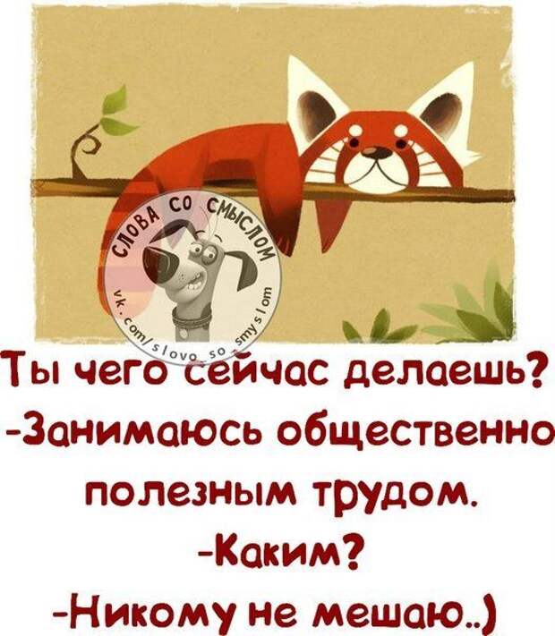 Чем занимаешься или что делаешь