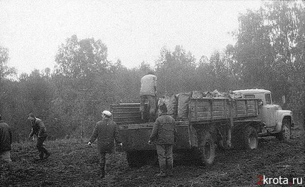 Сбор урожая в СССР (38 фото)