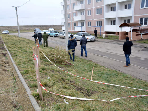 https://image.newsru.com/v2/01/2019/03/d/d4518d8d2aadd8459f15ec710d120a52.jpg