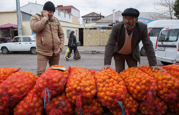 Торговля абхазскими мандаринами на улицах Сочи
