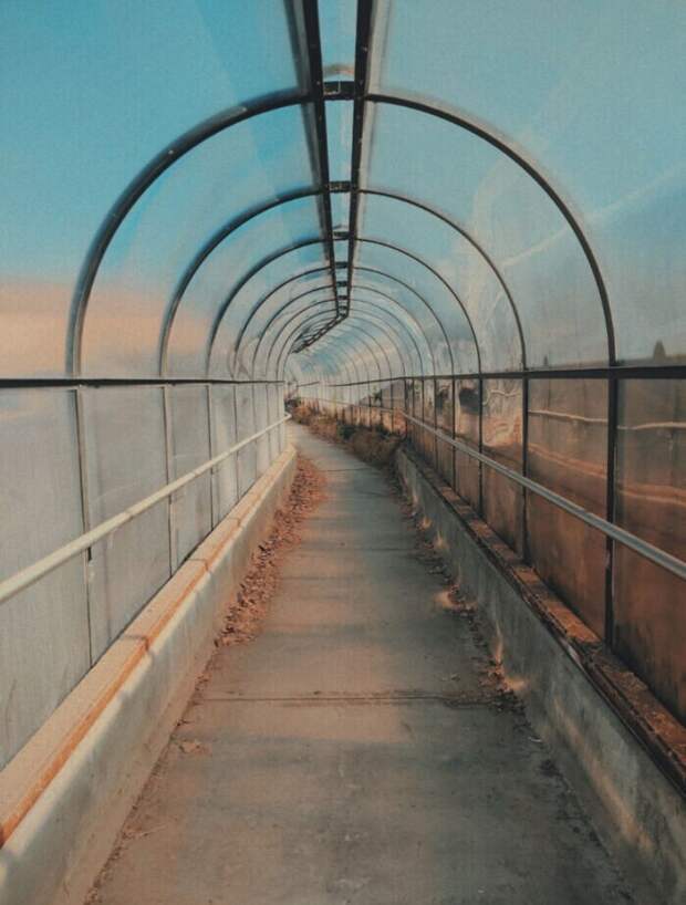 В неизвестность В неизвестность
