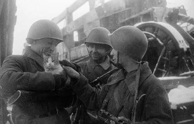 Мирные воспоминания. Сталинград, 1943 год Мирные воспоминания. Сталинград, 1943 год