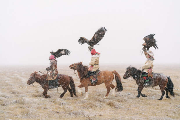 Монгольские мужчины отправляются на соколиную охоту.