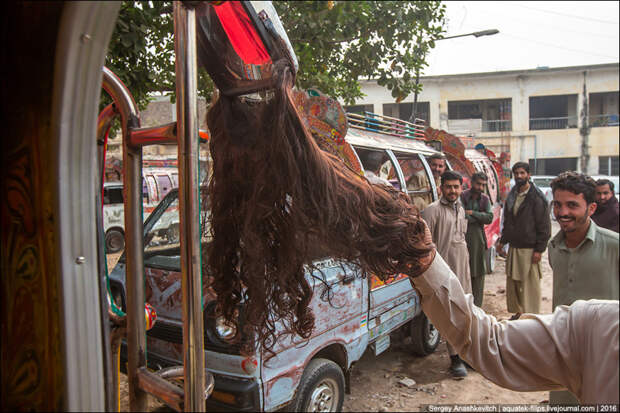И снова волосы. Каждый, у кого они есть на машине, неимоверно гордится этим фактом Пакистанские маршрутки, история, мир