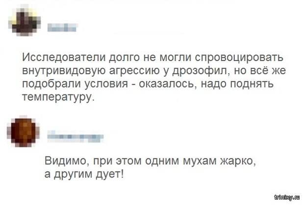 Комментарии и юмор из социальных сетей (25 скриншотов)