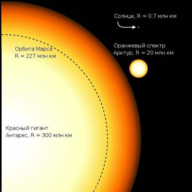 Самые большие звёзды во Вселенной