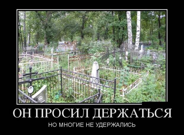 Демотиваторы