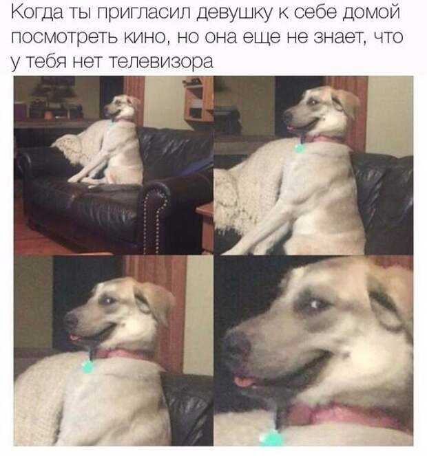 Смешные картинки с надписями прикол, юмор