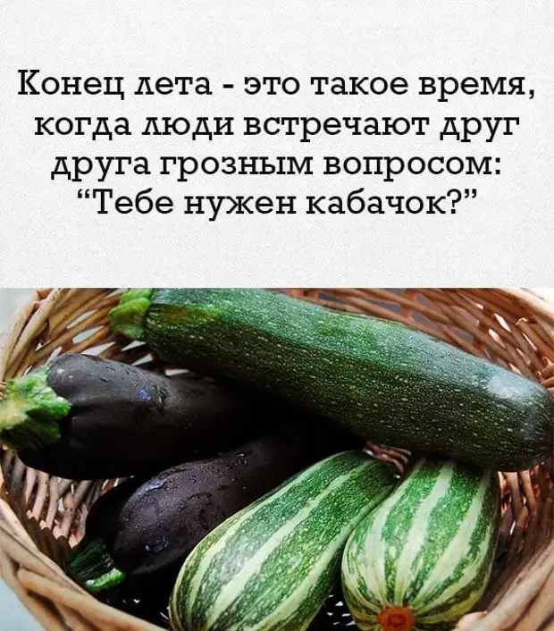 – Милый, у меня кончик языка болит, посмотри, пожалуйста! – Всё нормально, он раздваивается... когда, Девушка, говорит, бульон, проезжает, мужик, скрипучем, знает, сколько, хотел, общемто, скажи, покажет—, добился, известный, русский, исследователь, Пржевальский, встретил, Однажды