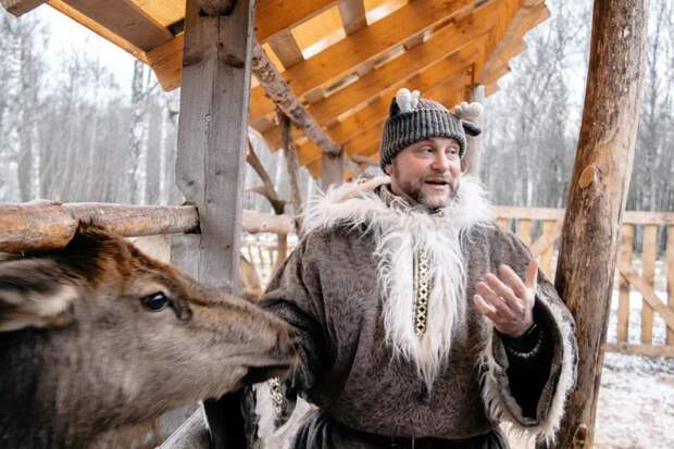 Плюются и щипаются: среди оленей на ферме под Тверью живут необычные животные инков