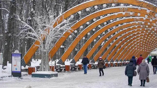 В парках Москвы подготовили зимнюю программу выставок