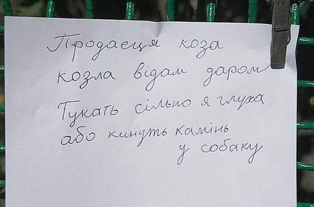 Бедная собака, работает вместо звонка, ей еще молоко за вредность надо платить! Бедная собака, работает вместо звонка, ей еще молоко за вредность надо платить! в хорошие руки, отдам даром, прикол, юмор